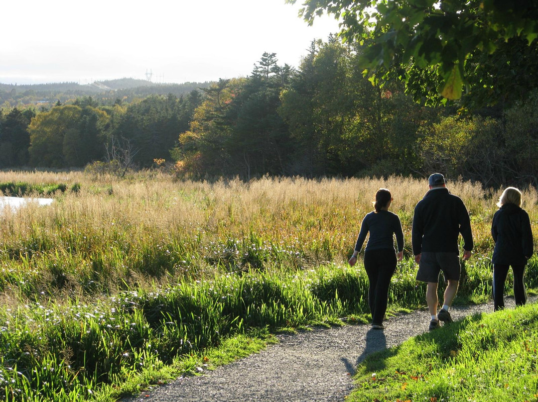Grand Concourse-圣约翰必去景点