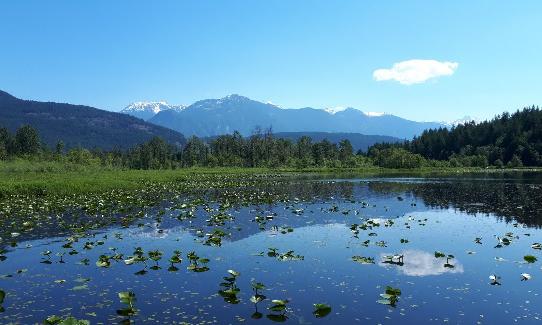 One Mile Lake景点图片