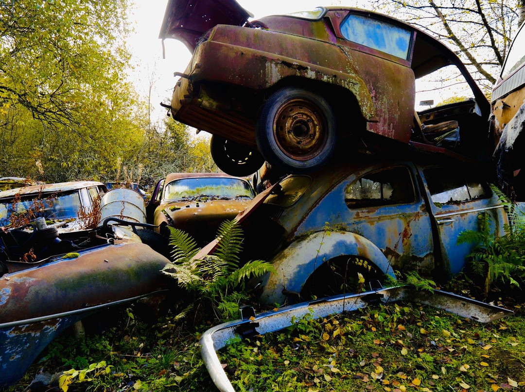 Bastnas Car Cemetery-Tocksfors必去景点