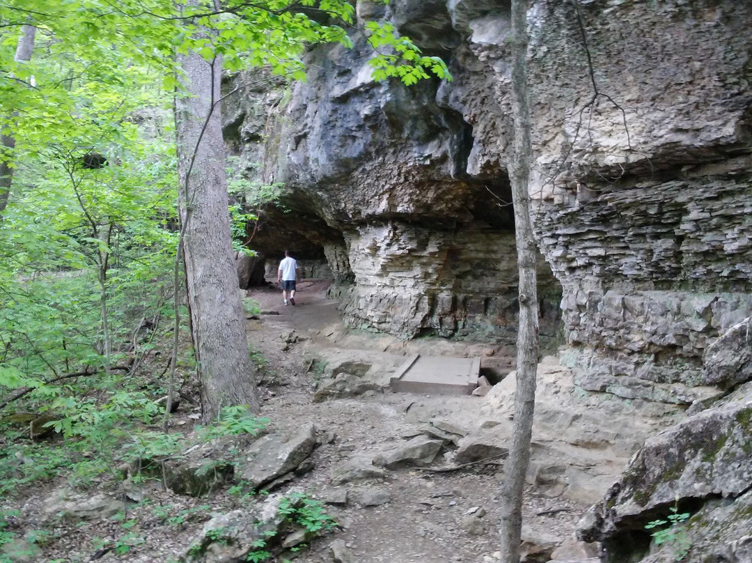 Catoosa旅游景点-Redbud Valley