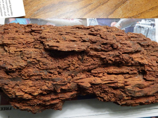 Lake Spring旅游景点-Fall Creek Rock Shop