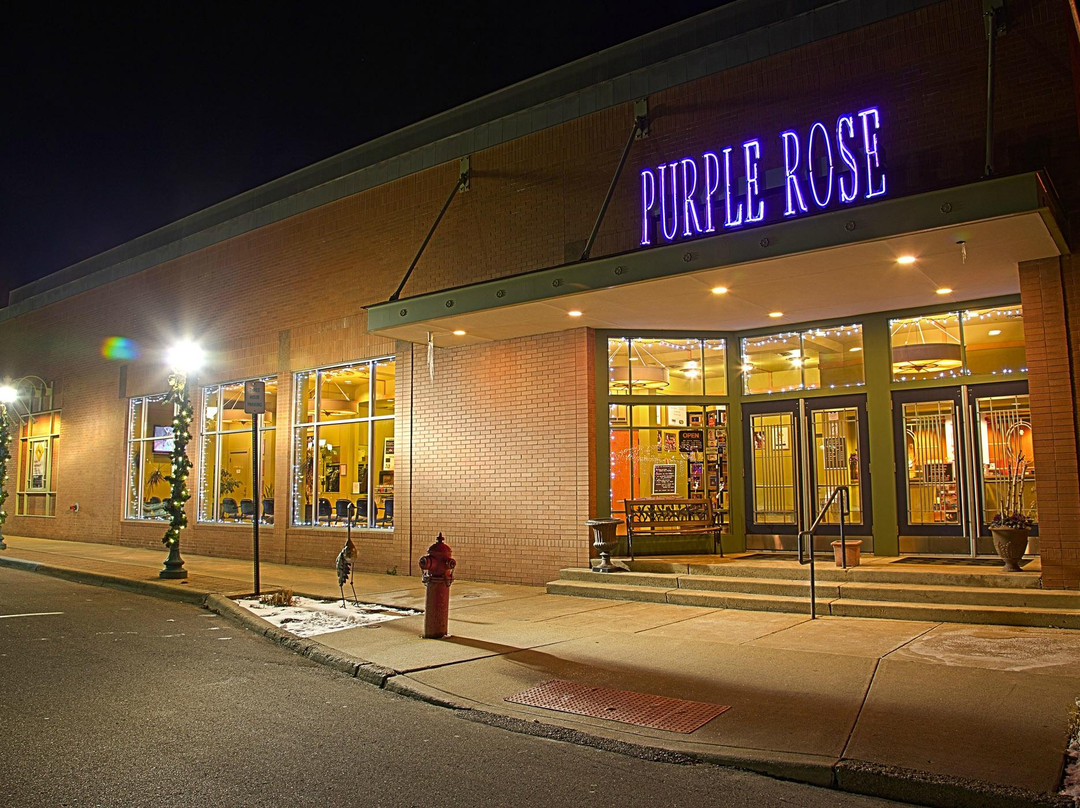 Purple Rose Theatre景点图片