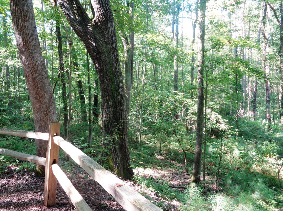 Autrey Mill Nature Preserve and Heritage Center