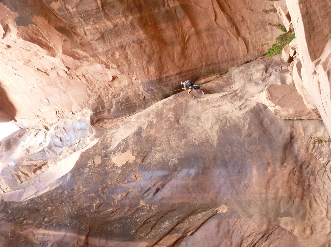 Teleshaw Backcountry-旧金山必去景点