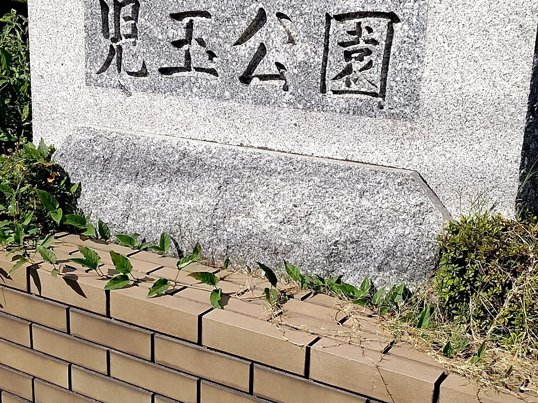 Statue of Gentaro Kodama-周南市必去景点