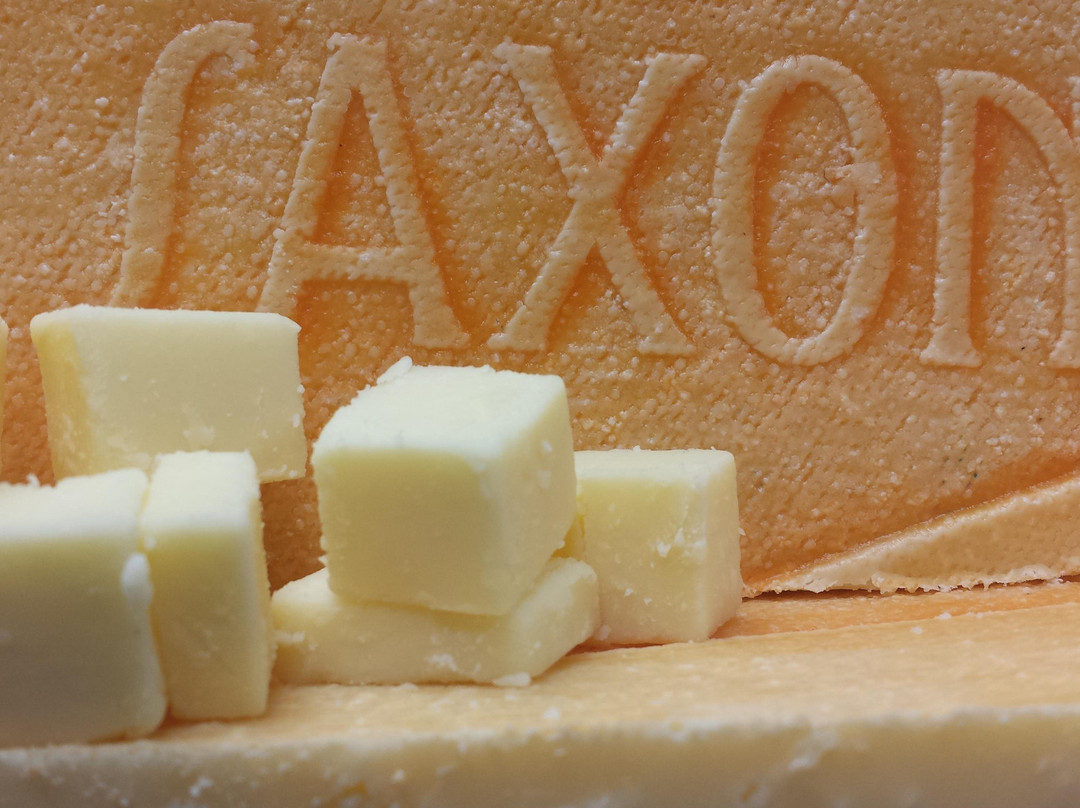 Newton旅游景点-Saxon Creamery