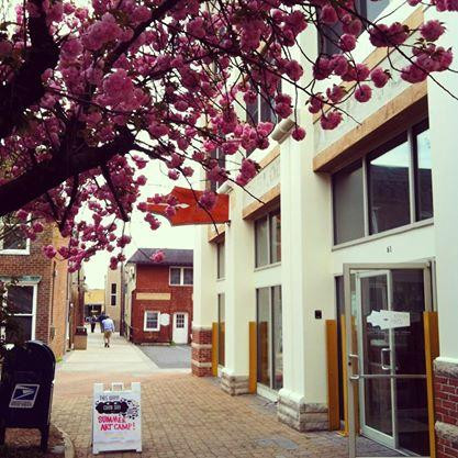 Larkin Arts-哈里森堡必去景点