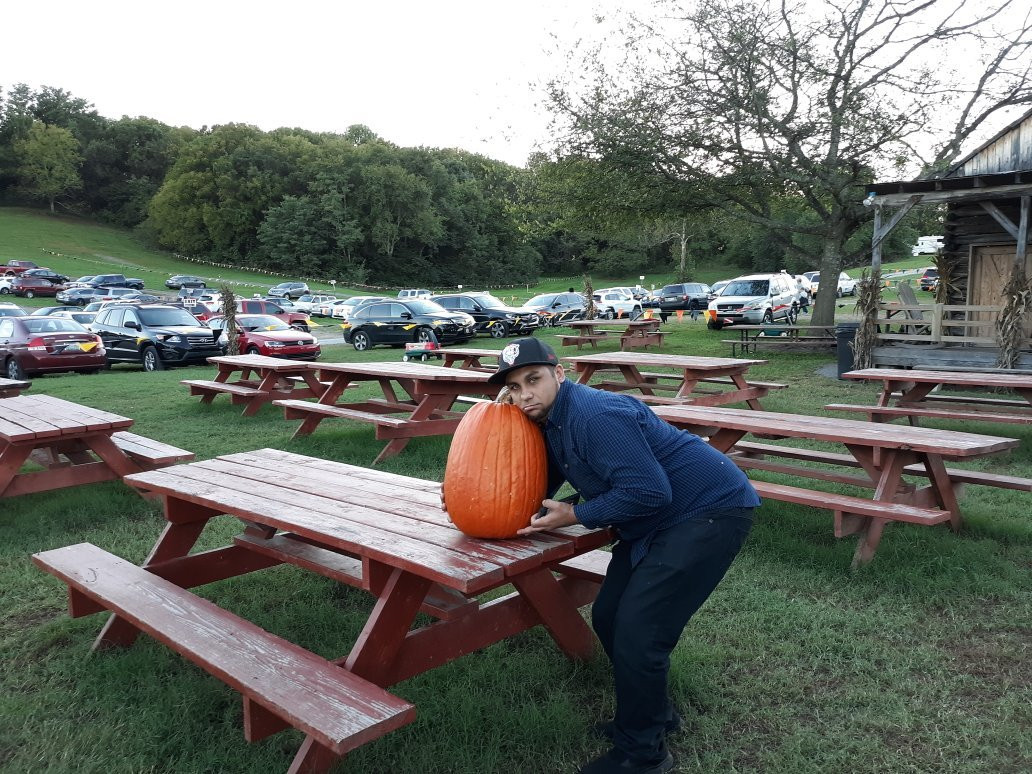 Walden Pumpkin Farm景点图片