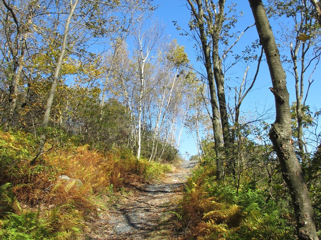 Big Pocono State Park景点图片