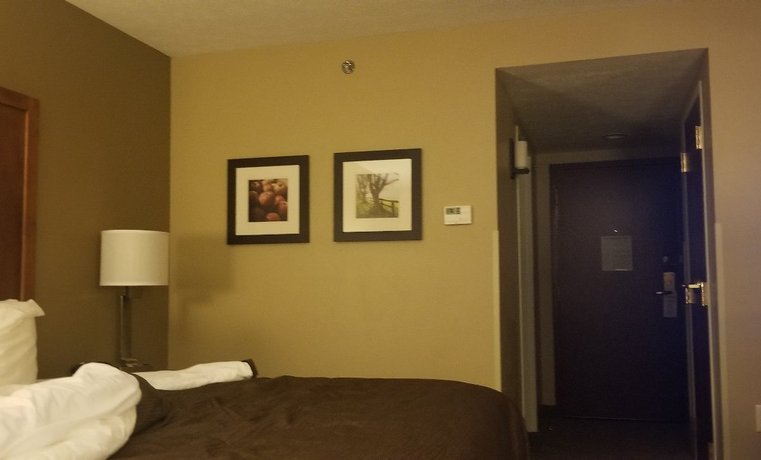 Comfort Inn & Suites主图