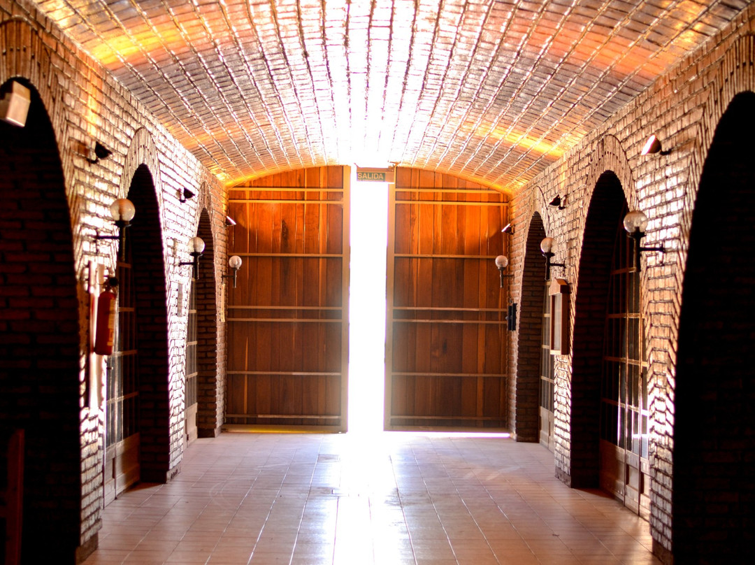 Bodega y Viñedos Garbin-圣拉斐尔必去景点