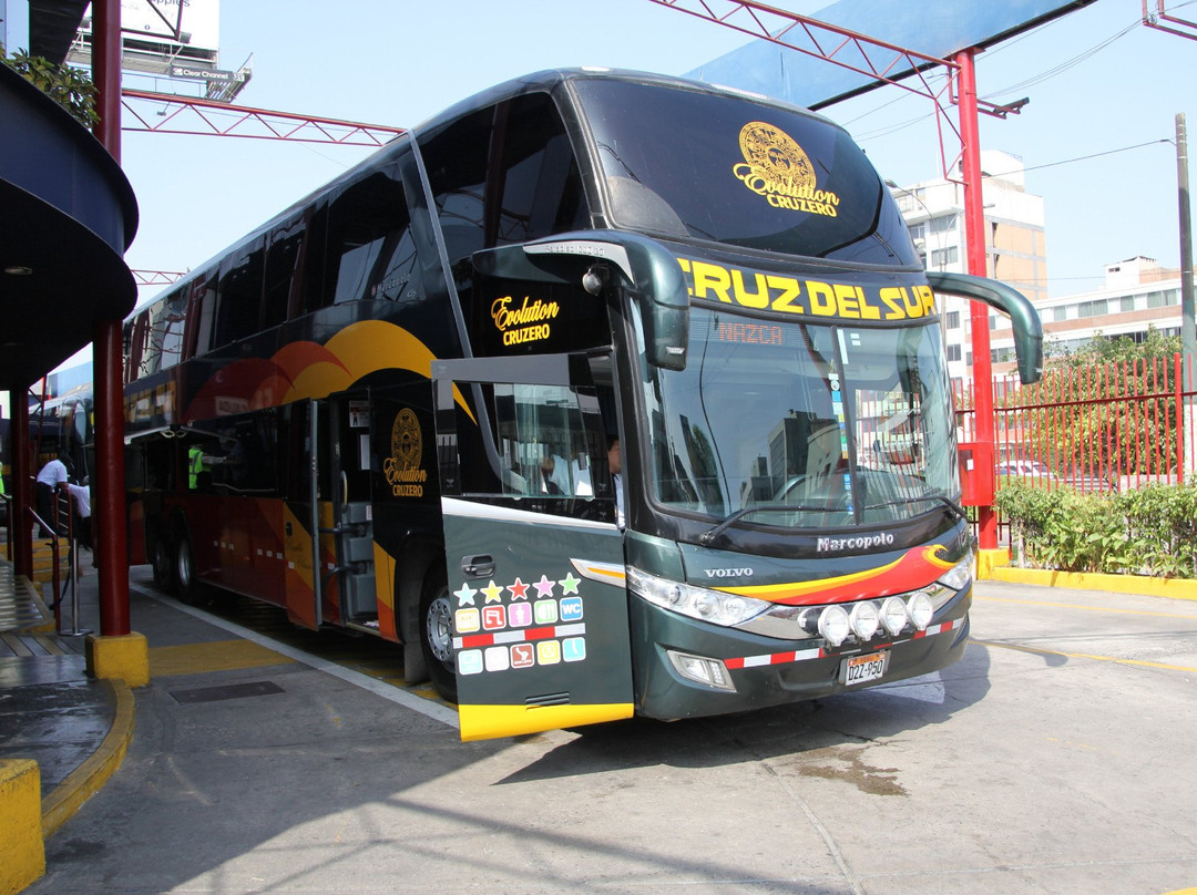 Transportes Cruz del Sur景点图片