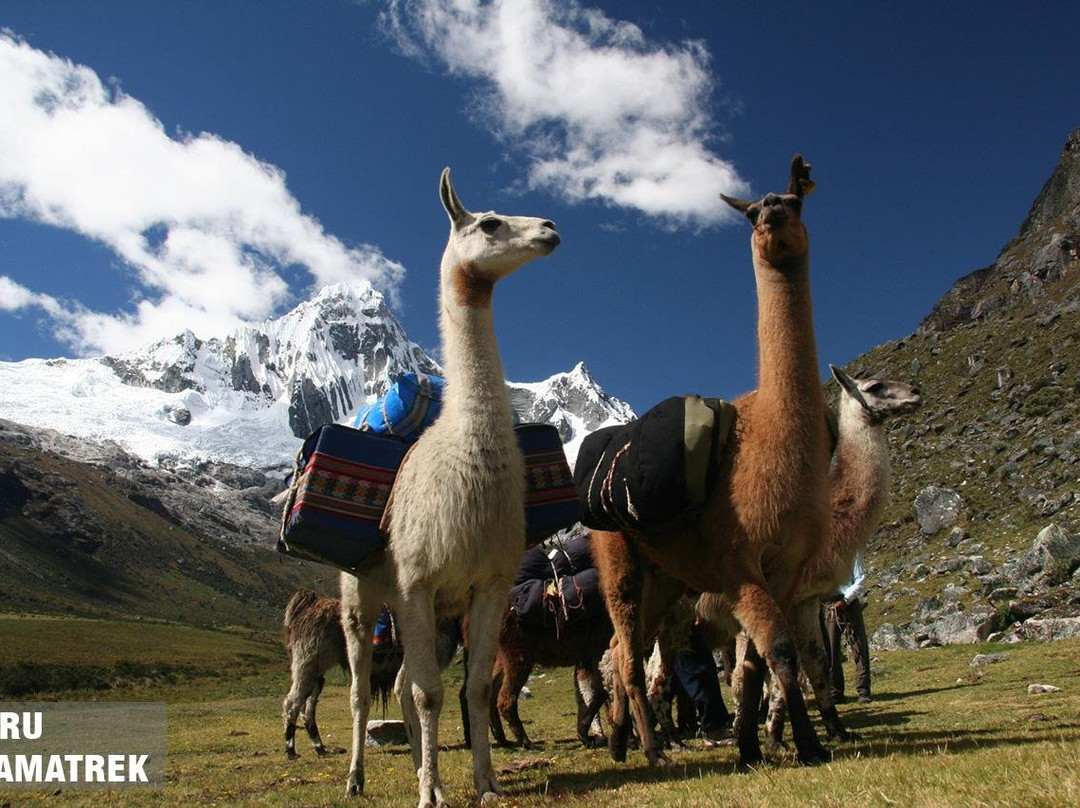 Peru Llamatrek