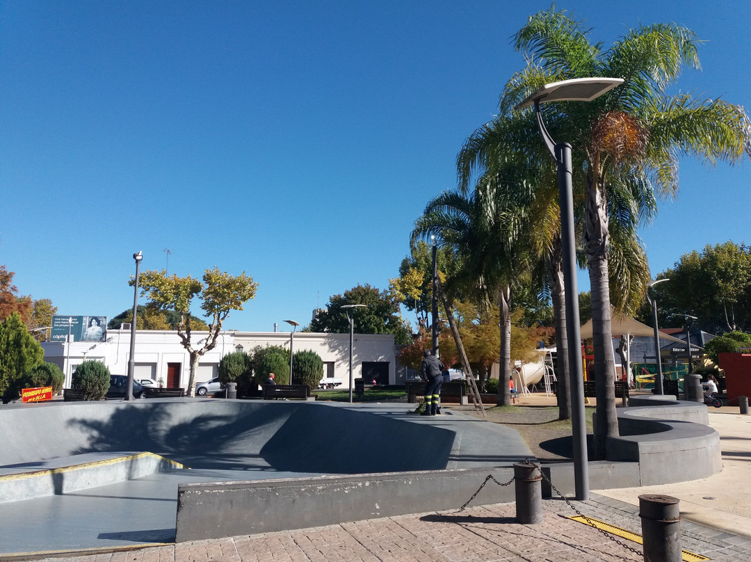 Plaza Walter Echeverria景点图片