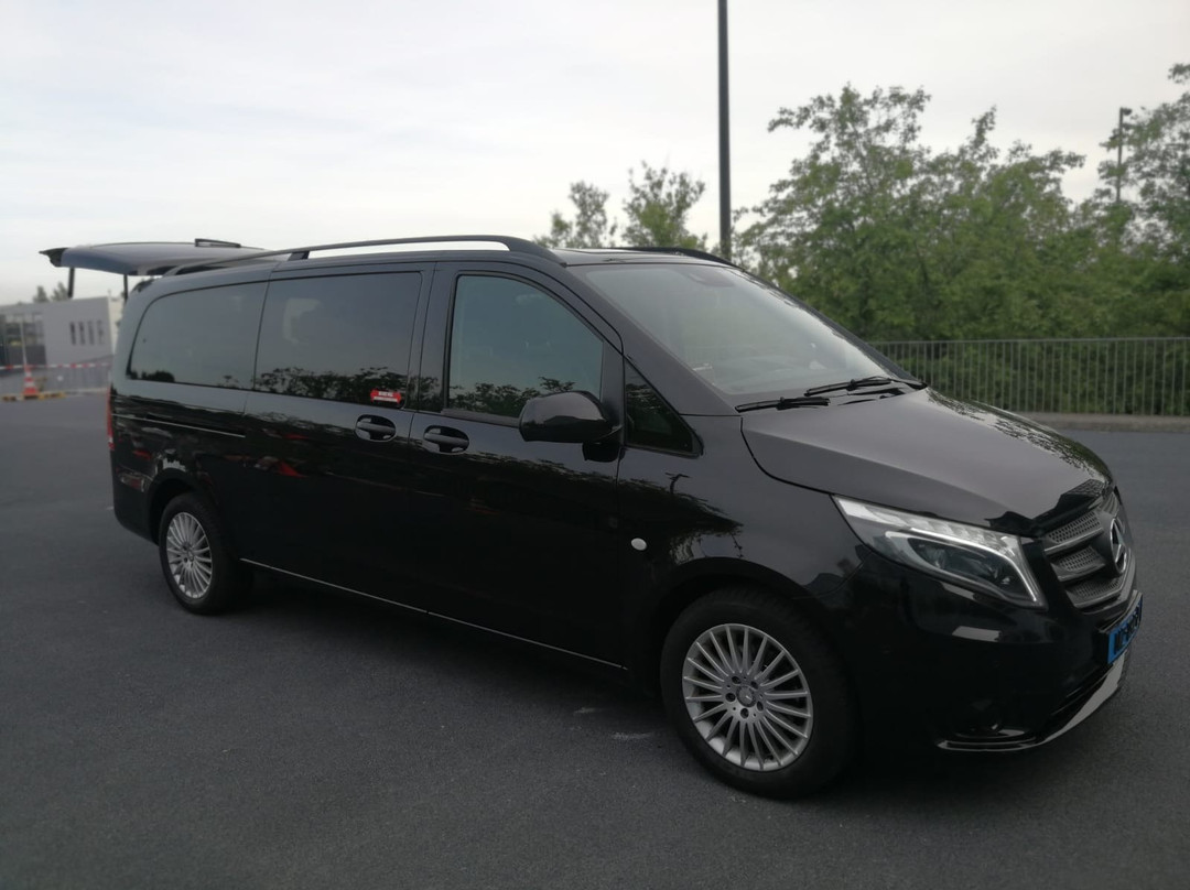 De Luxe Taxi Holland景点图片