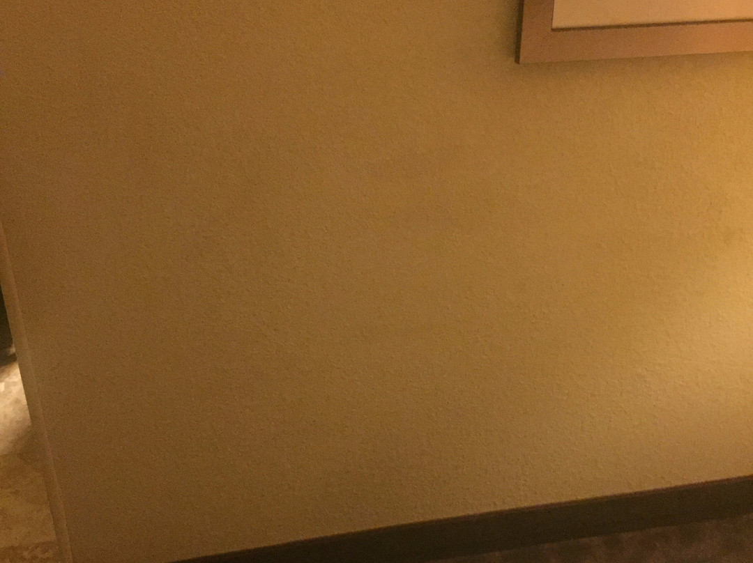 曼斯菲尔德/安大略希尔顿恒庭酒店主图