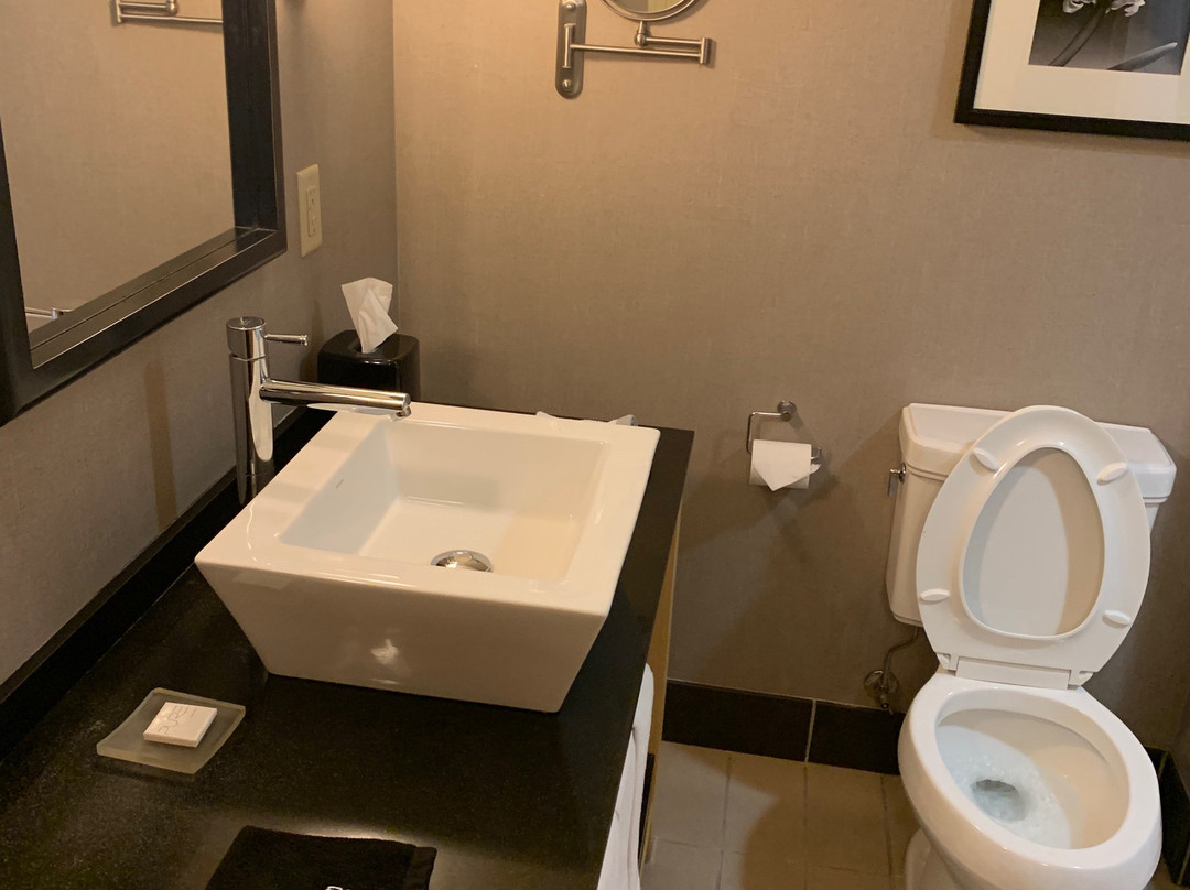 Cambria hotel & suites主图