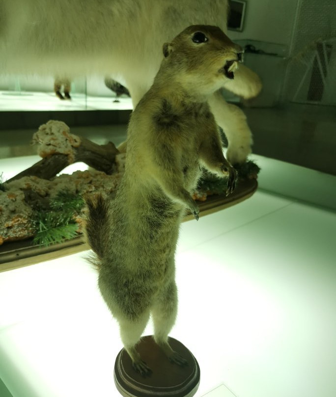 Chukotka Okrug Museum of Local Lore-Anadyr必去景点