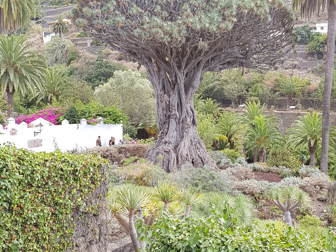 Parque Andres de Lorenzo Caceres景点图片