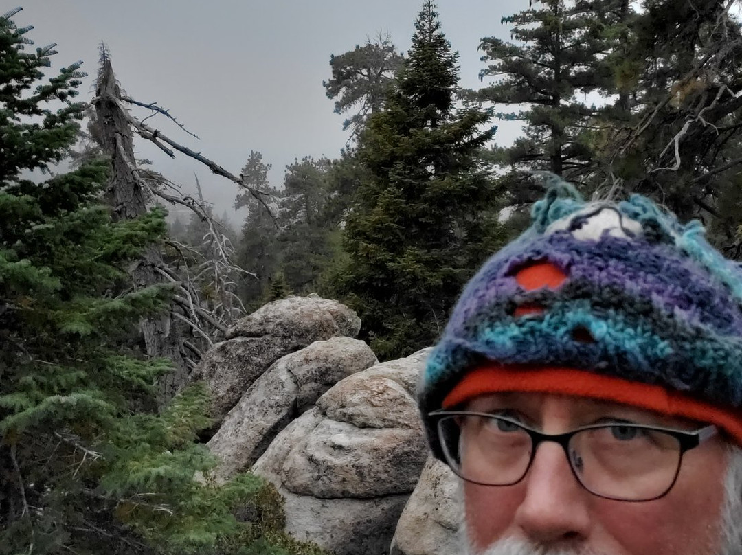 Castle Rock Trail-大熊湖必去景点