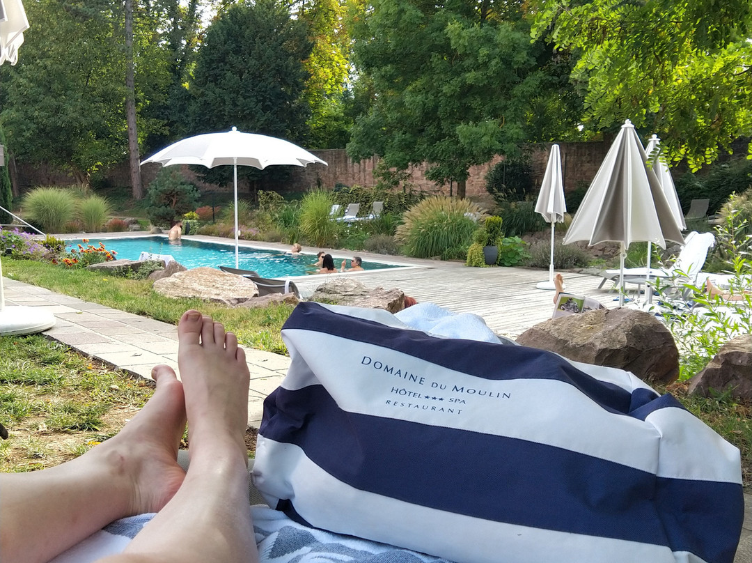 Hotel Spa Restaurant Domaine Du Moulin主图