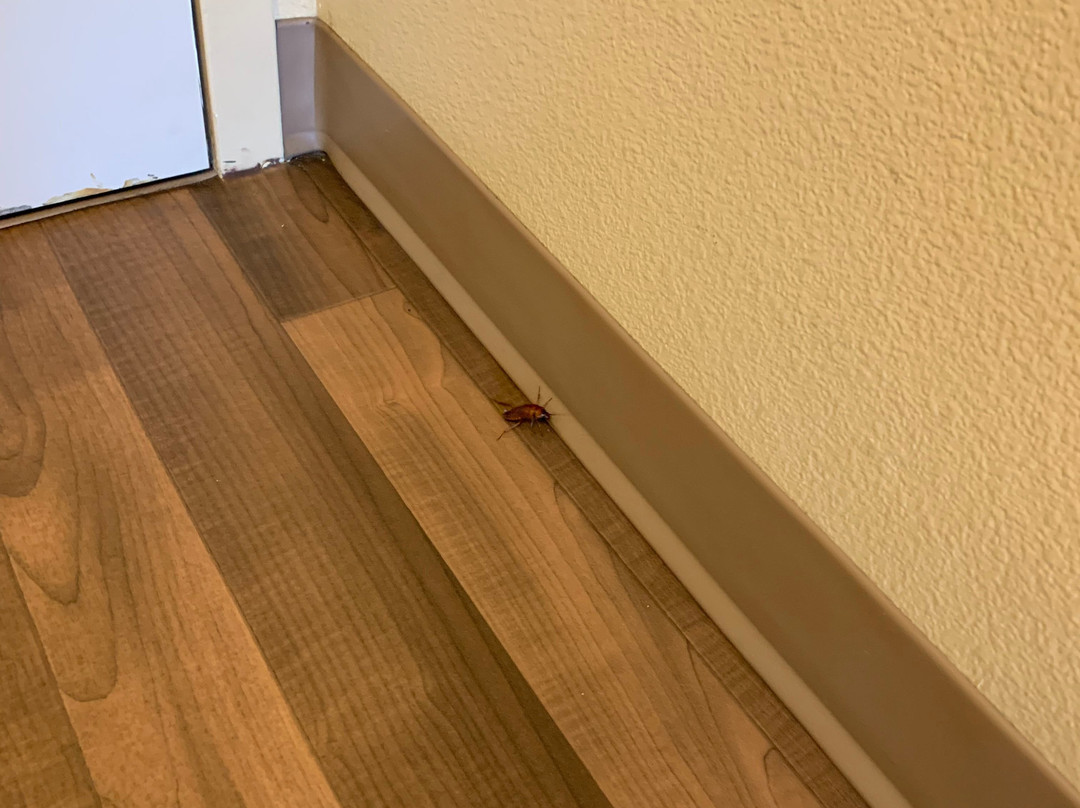 Extended Stay America - Orange County - Cypress主图