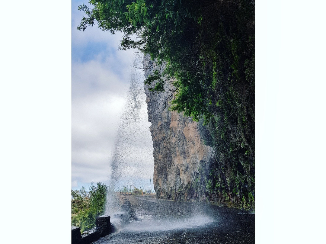 Madeira Seekers - Day Tours景点图片