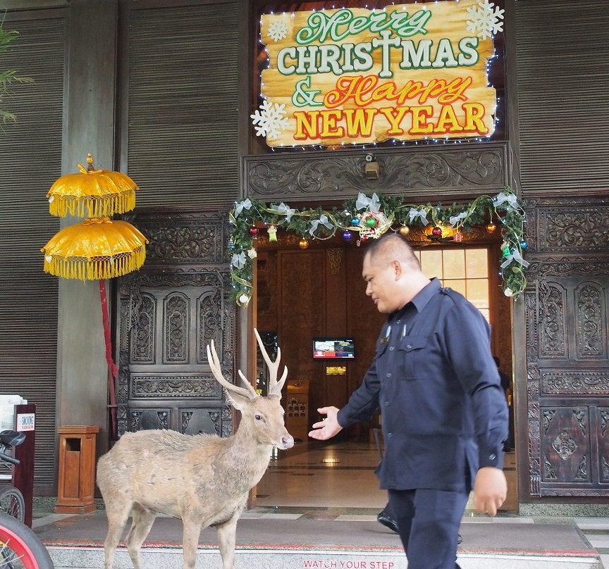 新加萨那酒店主图