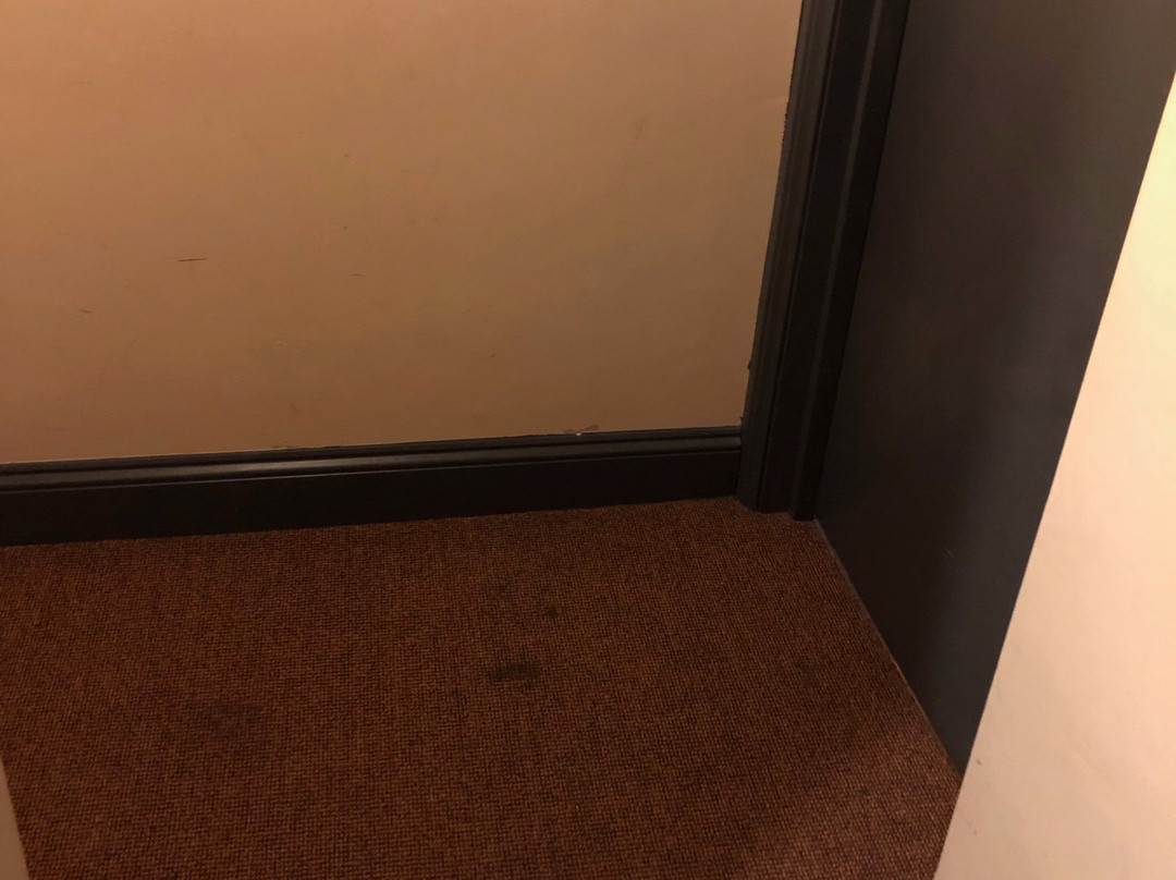 The Mousetrap Inn主图
