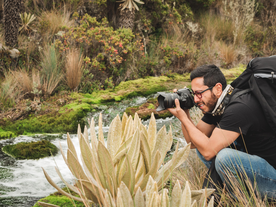 Colombia Outdoors景点图片