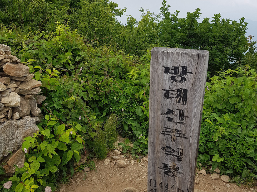 Bangtaesan Recreational Forest-麟蹄郡必去景点