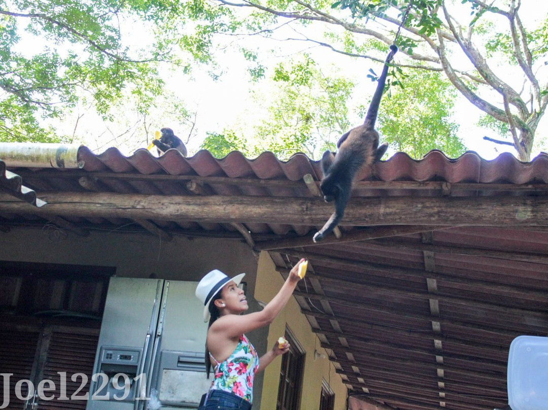 La Playita Resort主图