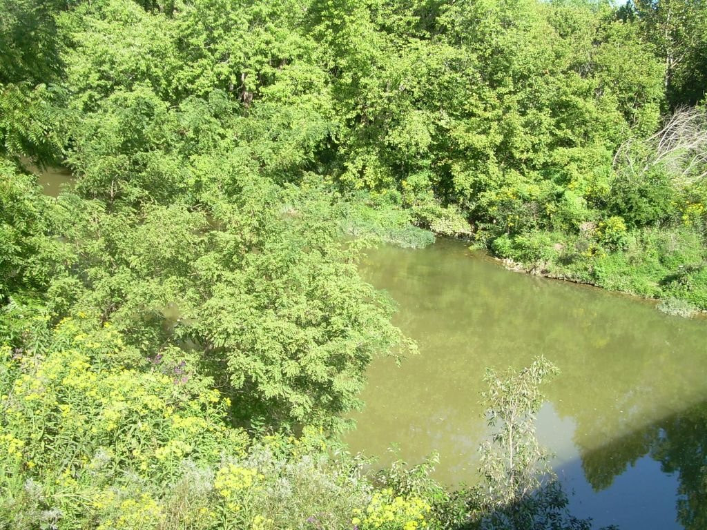 Beckley Creek Park景点图片