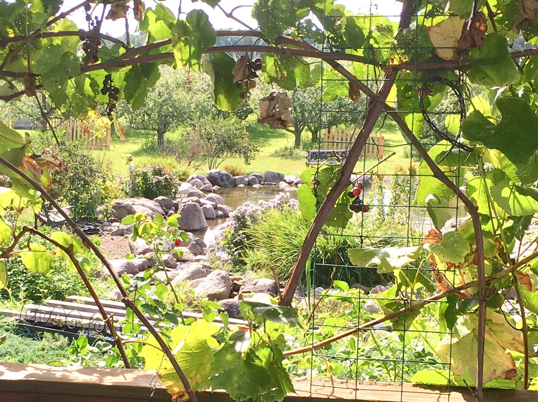 Fireside Orchard and Gardens-诺斯菲尔德必去景点