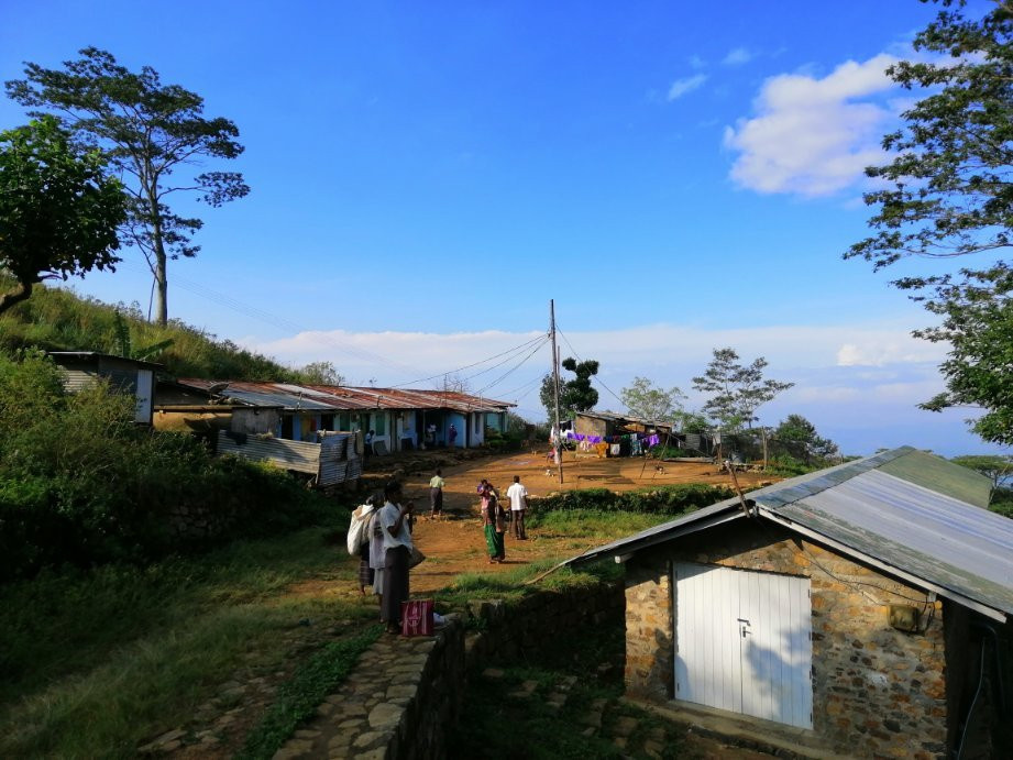 The Planters House主图