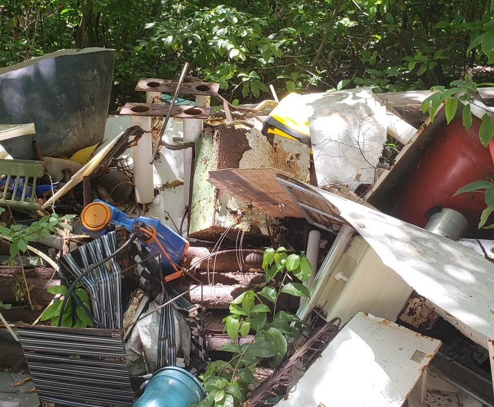 Jardín Botánico de San Andrés-圣安德烈斯必去景点