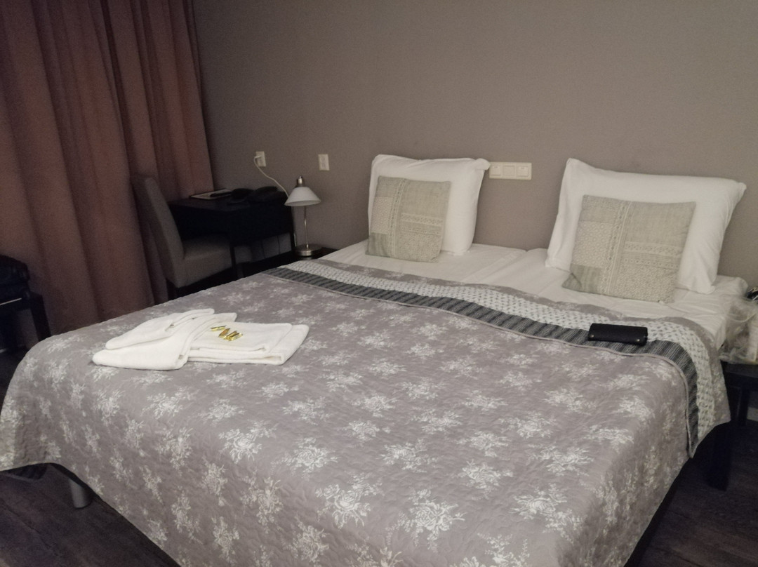 Hotel Appelscha主图