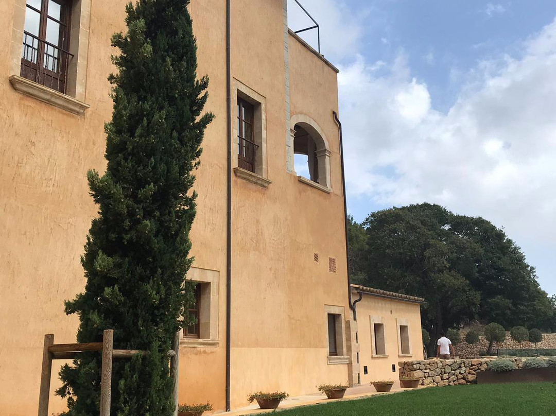 Son Brull Hotel & Spa主图