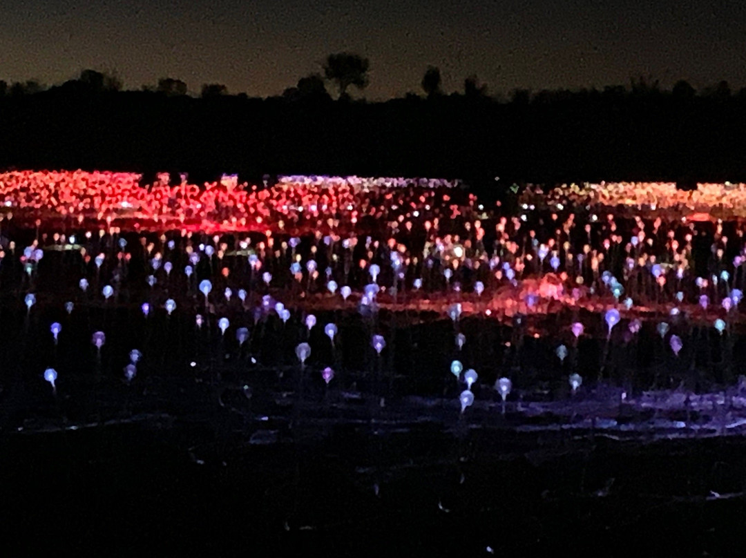 Ayers Rock Resort景点图片