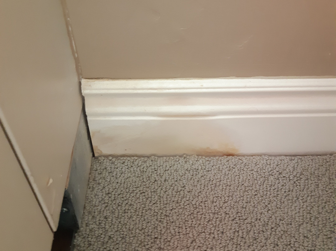 Hearthstone Inn Sydney主图