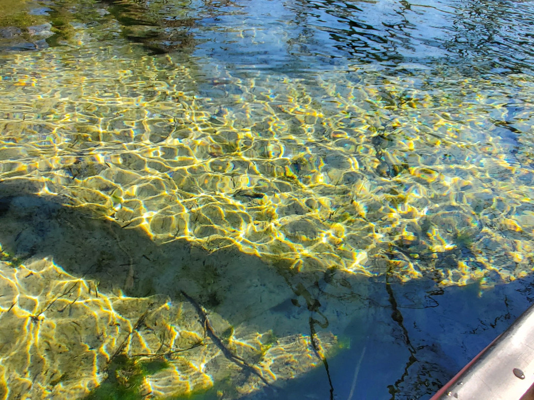 Econfina Canoe Livery景点图片