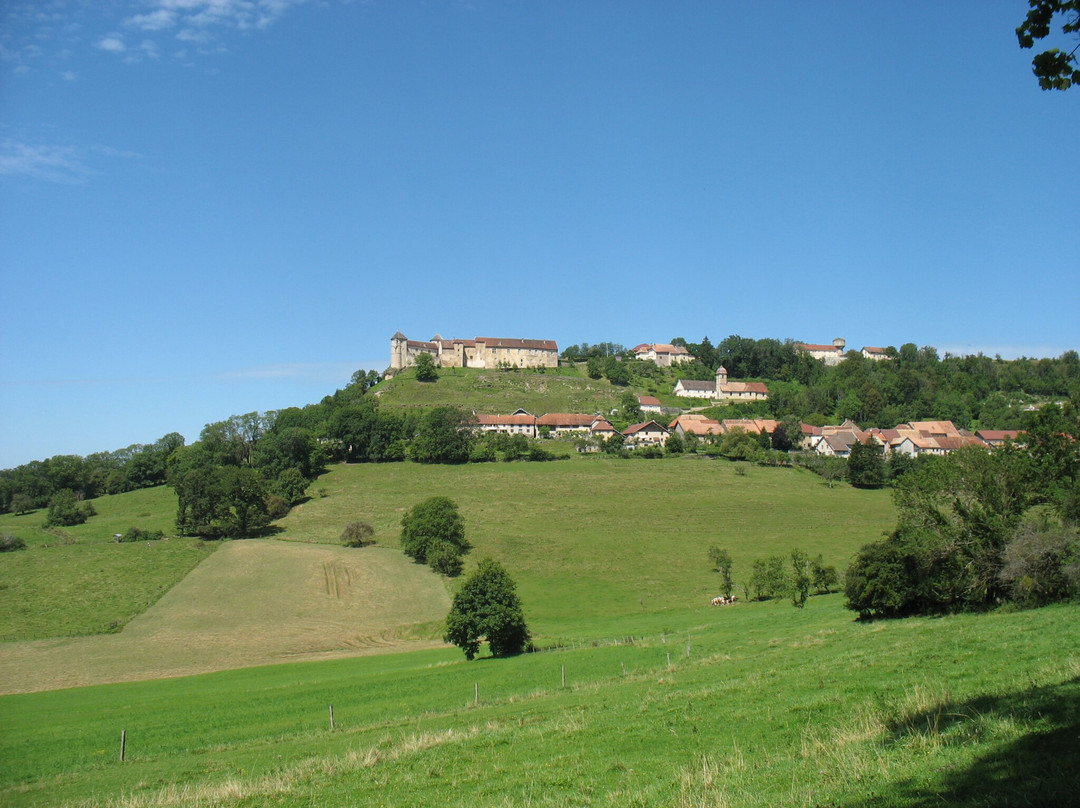 Sentier des Coteaux de Belvoir景点图片