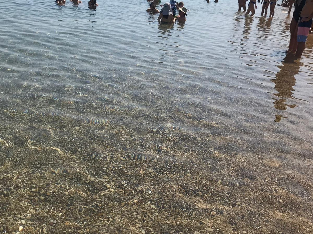 Plakes Beach景点图片