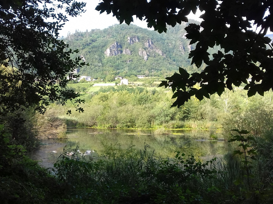 Biotopo Lago di Pudro-Pergine Valsugana必去景点