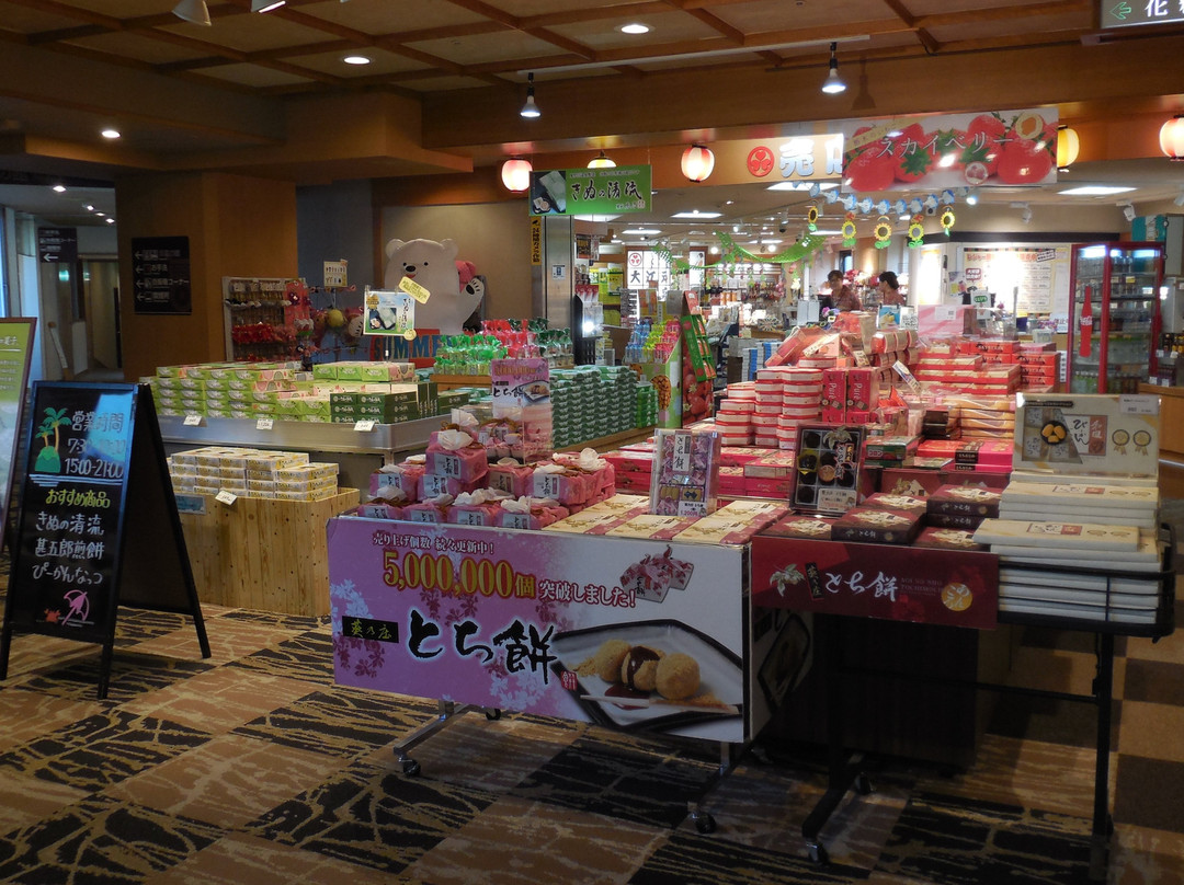 大江户温泉物语酒店 - 鬼怒川御苑主图
