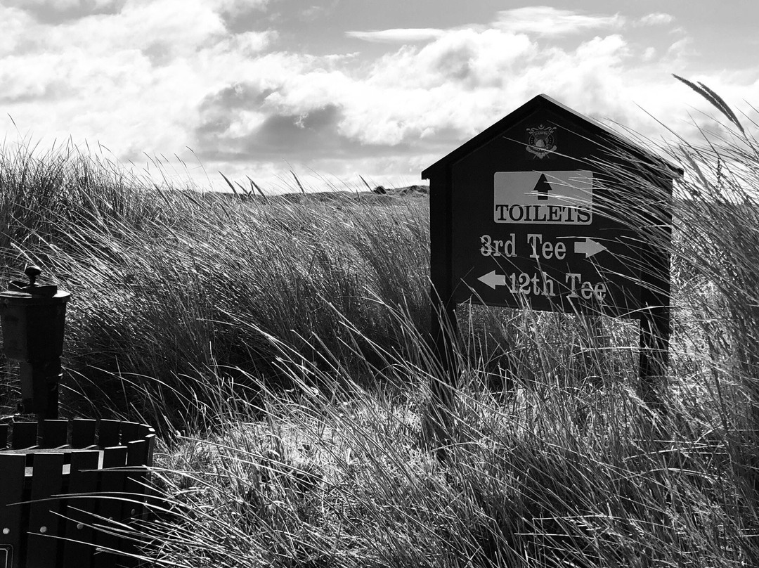 County Louth Golf Club  ( Baltray )景点图片