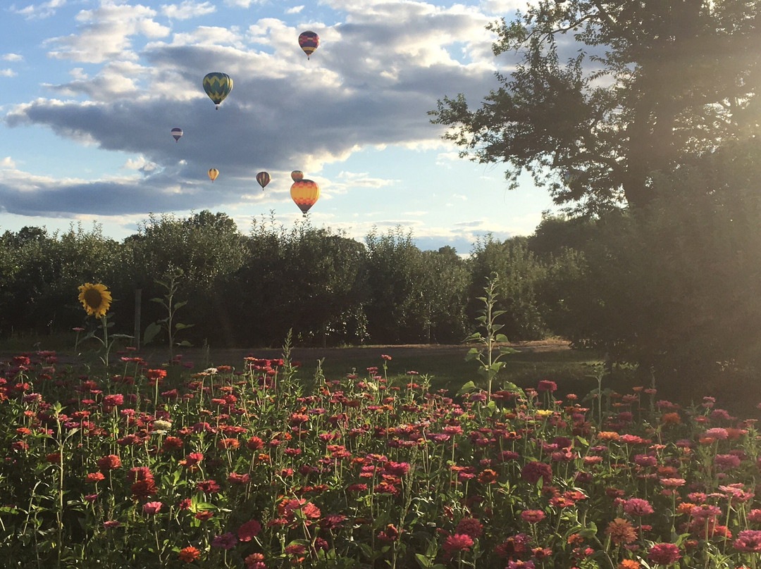 Gull Meadow Farms景点图片