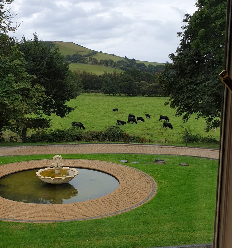 Plas Y Dderwen Bed and Breakfast主图