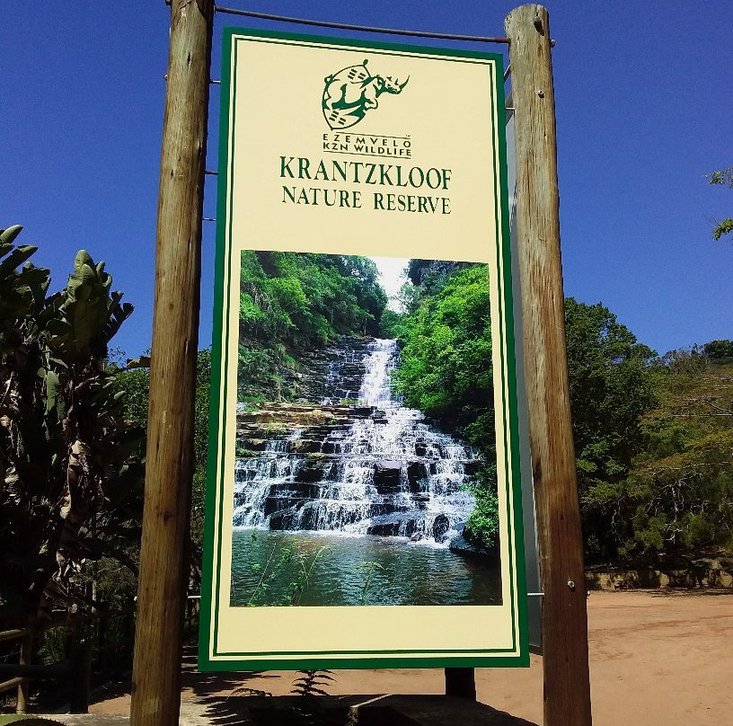 Krantzkloof Nature Reserve景点图片