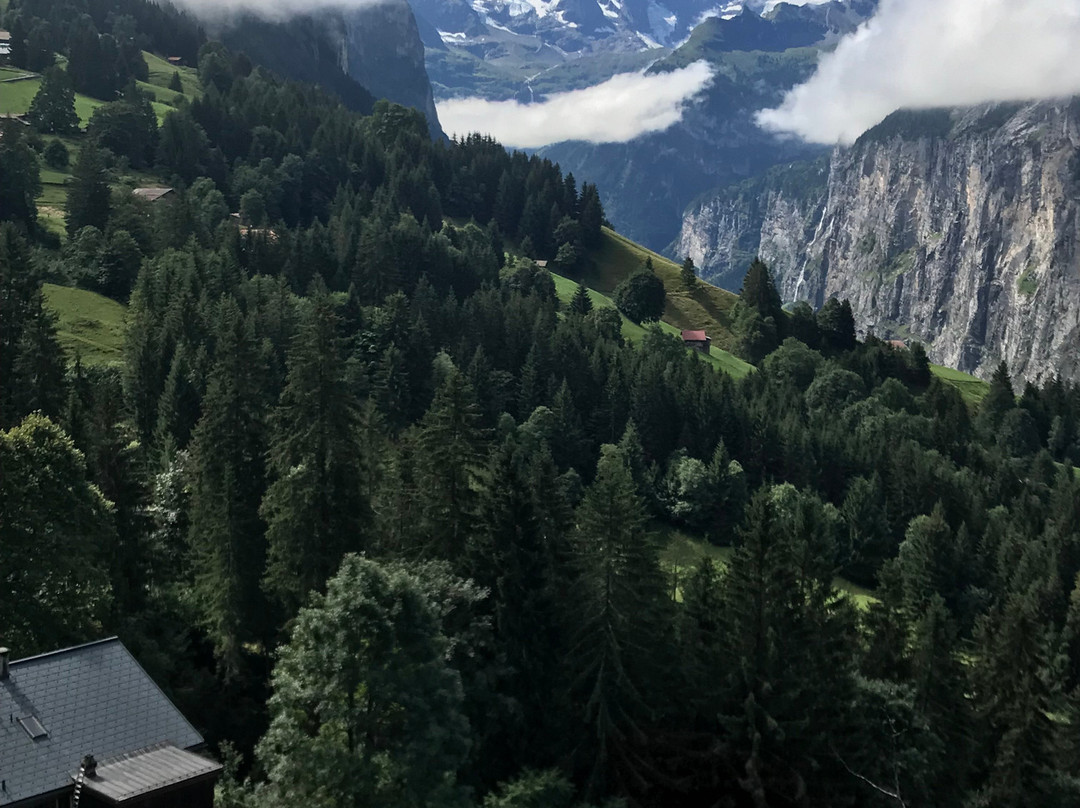 埃里卡小屋酒店主图